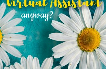 So what is a Virtual Assistant anyway